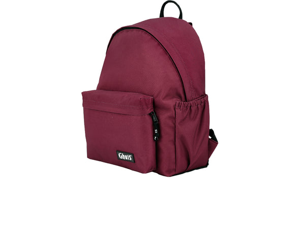 Ghuts PC Basics Backpack 45 in Mauve upper view